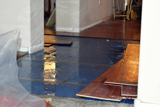 Professional Basement Flood Cleanup technician working in Canton, PA